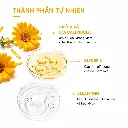 77d367cb-fa12-46c3-9cee-aafbd12df0df.webp