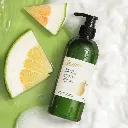 tp.webp