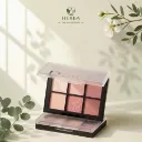 Bảng Mắt Thuần Chay Dinto Blur-Finish Eye Shadow 6g